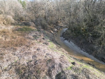 140 Acres with Farmhouse in Lorman, Mississippi - image 12