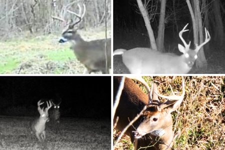 140 Acres with Farmhouse in Lorman, Mississippi - image 47