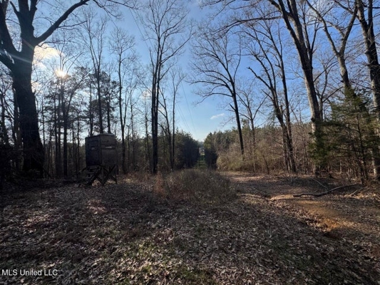 140 Acres with Farmhouse in Lorman, Mississippi