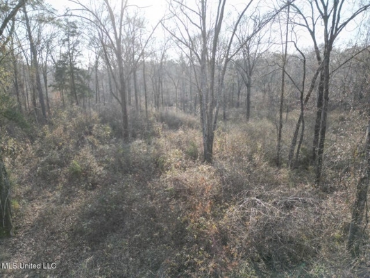 140 Acres with Farmhouse in Lorman, Mississippi
