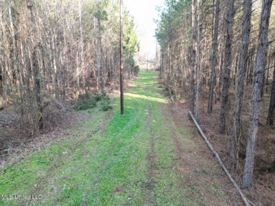 140 Acres with Farmhouse in Lorman, Mississippi - image 15