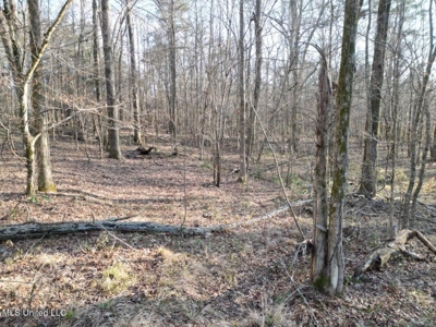 140 Acres with Farmhouse in Lorman, Mississippi - image 18