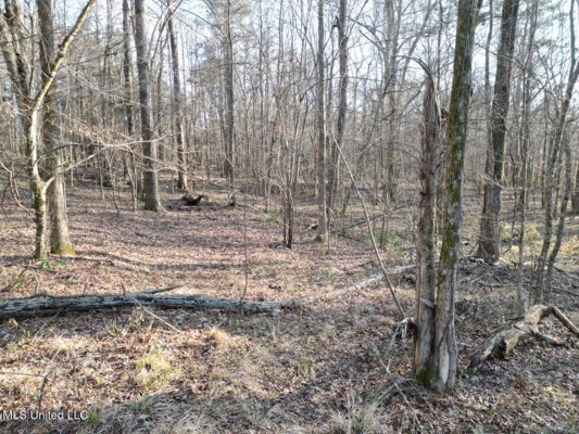 140 Acres with Farmhouse in Lorman, Mississippi