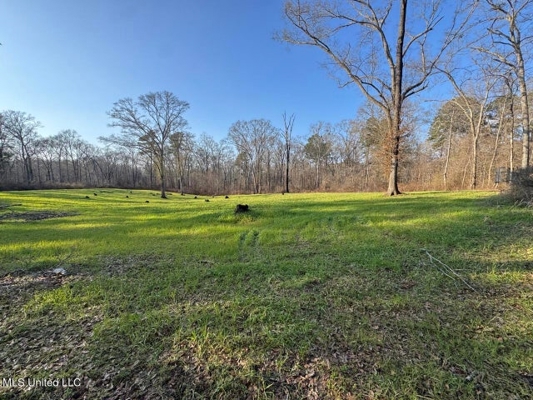 140 Acres with Farmhouse in Lorman, Mississippi