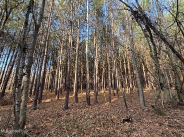 Listing 57