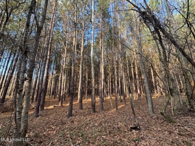 140 Acres with Farmhouse in Lorman, Mississippi - image 42