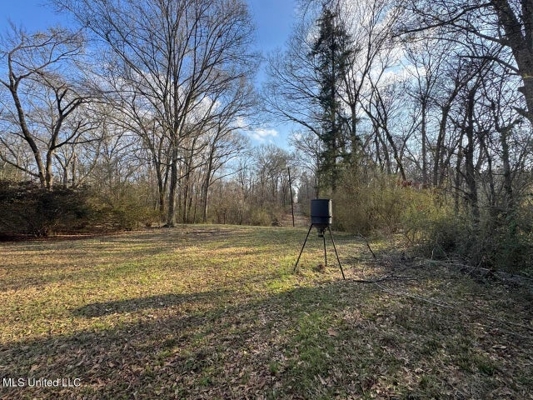 140 Acres with Farmhouse in Lorman, Mississippi