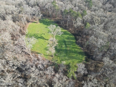 140 Acres with Farmhouse in Lorman, Mississippi - image 10