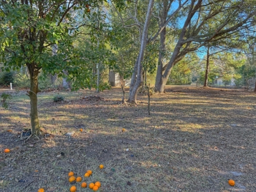 Listing 115