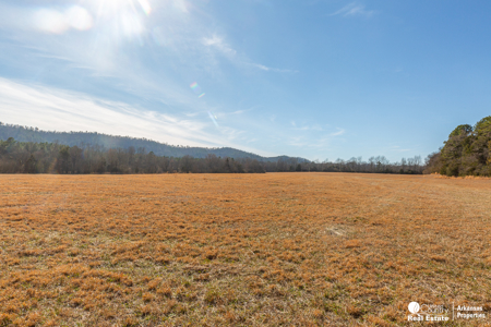 28± acres of exceptional land in Polk County with mountain Views - image 5