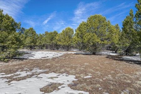 Premium 2-Acre Golf Course Homesite For Sale in Ridgway, Colorado - image 8