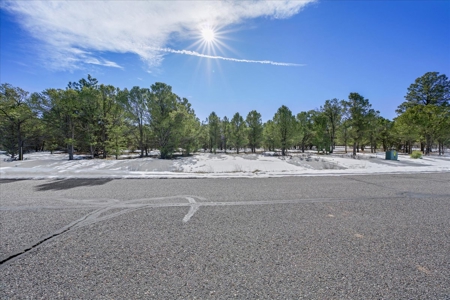 Premium 2-Acre Golf Course Homesite For Sale in Ridgway, Colorado - image 10