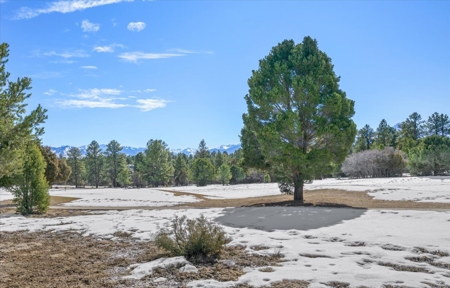 Premium 2-Acre Golf Course Homesite For Sale in Ridgway, Colorado - image 14