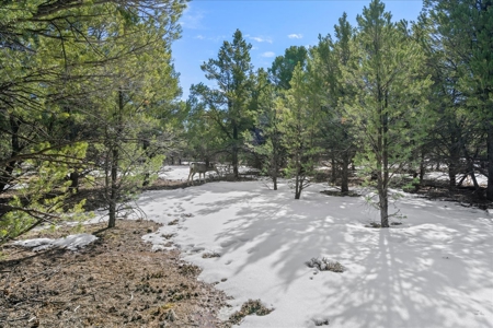 Premium 2-Acre Golf Course Homesite For Sale in Ridgway, Colorado - image 9