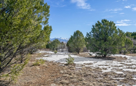 Premium 2-Acre Golf Course Homesite For Sale in Ridgway, Colorado - image 12