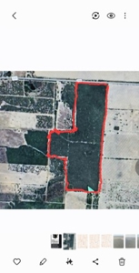 110.91 acres of South Texas Brush. A Blank canvas In Duval County - image 1