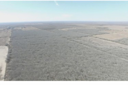 110.91 acres of South Texas Brush. A Blank canvas In Duval County - image 2