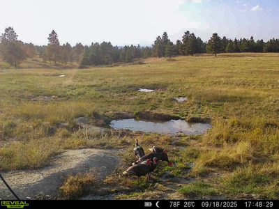 420± Acres for Sale in Musselshell County, Montana - image 12