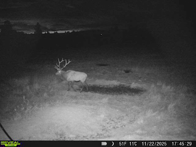 420± Acres for Sale in Musselshell County, Montana - image 43