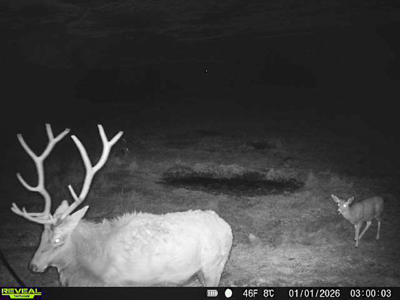 420± Acres for Sale in Musselshell County, Montana - image 27