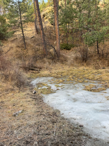 420± Acres for Sale in Musselshell County, Montana - image 19