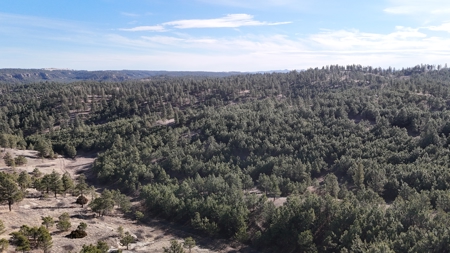 420± Acres for Sale in Musselshell County, Montana - image 2