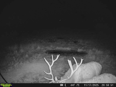 420± Acres for Sale in Musselshell County, Montana - image 3