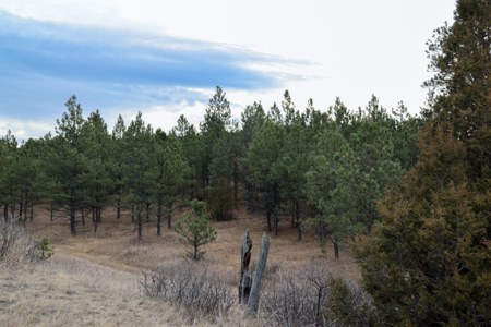 420± Acres for Sale in Musselshell County, Montana - image 22