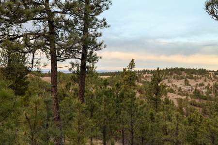 420± Acres for Sale in Musselshell County, Montana - image 9