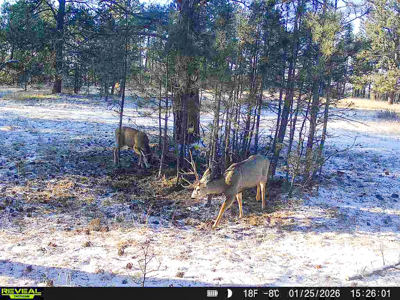 420± Acres for Sale in Musselshell County, Montana - image 41