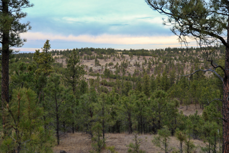 420± Acres for Sale in Musselshell County, Montana - image 25