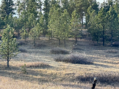 420± Acres for Sale in Musselshell County, Montana - image 48