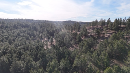 420± Acres for Sale in Musselshell County, Montana - image 11