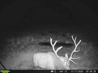 420± Acres for Sale in Musselshell County, Montana - image 13