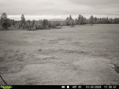 420± Acres for Sale in Musselshell County, Montana - image 33