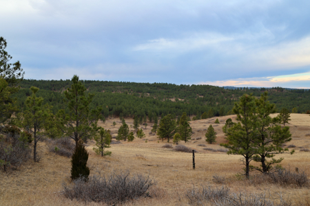 420± Acres for Sale in Musselshell County, Montana - image 10