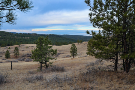 420± Acres for Sale in Musselshell County, Montana - image 7