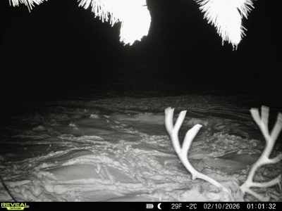 420± Acres for Sale in Musselshell County, Montana - image 50