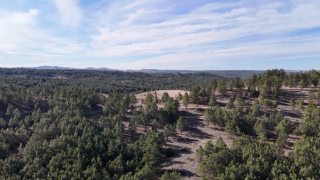 420± Acres for Sale in Musselshell County, Montana - image 4