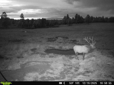 420± Acres for Sale in Musselshell County, Montana - image 36