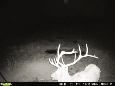 420± Acres for Sale in Musselshell County, Montana - image 5