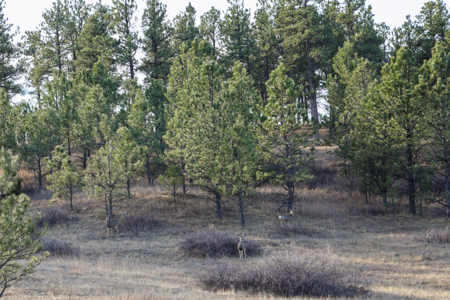 420± Acres for Sale in Musselshell County, Montana - image 24