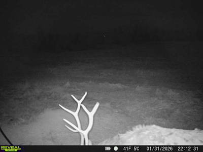 420± Acres for Sale in Musselshell County, Montana - image 39