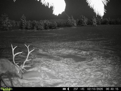 420± Acres for Sale in Musselshell County, Montana - image 31