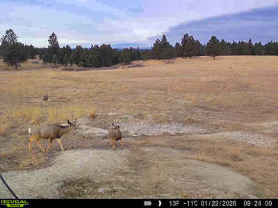 420± Acres for Sale in Musselshell County, Montana - image 47