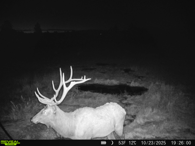 420± Acres for Sale in Musselshell County, Montana - image 35