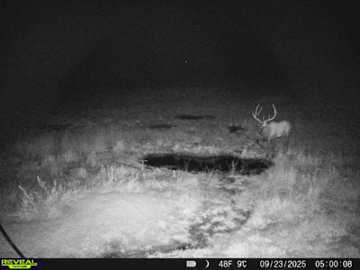 420± Acres for Sale in Musselshell County, Montana - image 37