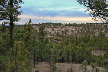 420± Acres for Sale in Musselshell County, Montana - image 8