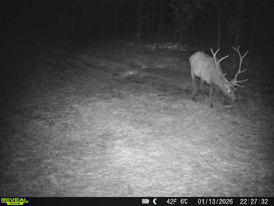 420± Acres for Sale in Musselshell County, Montana - image 45