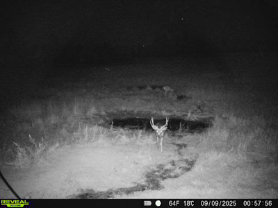 420± Acres for Sale in Musselshell County, Montana - image 40